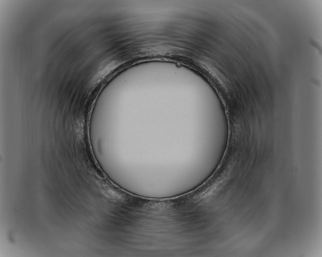 X0000097510778200803071823