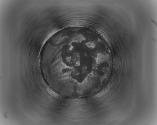 X0000097510779200803071823