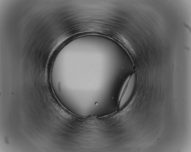 X0000097510780200803071823