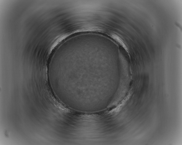 X0000097510781200803071823