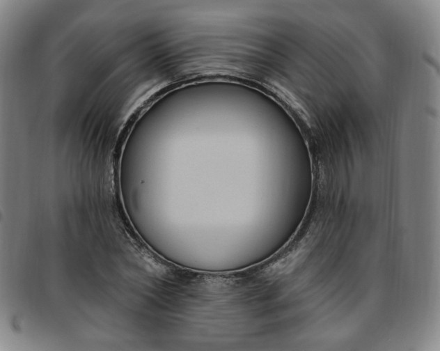 X0000097510782200803071823