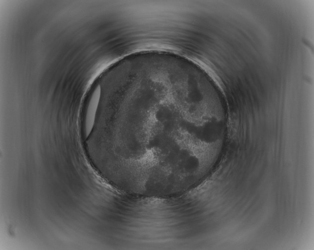 X0000097510783200803071823