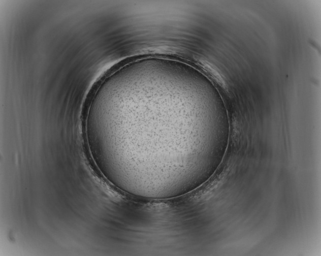 X0000097510784200803071823