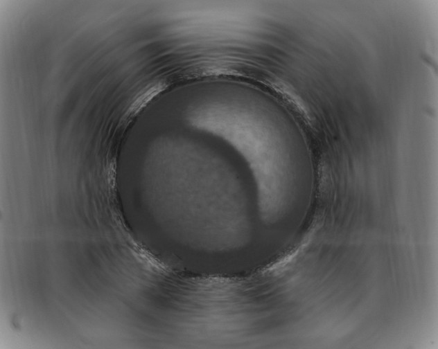 X0000097510785200803071823