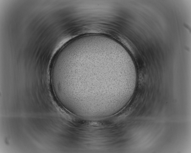 X0000097510787200803071823