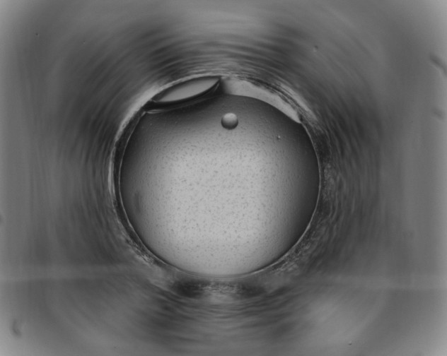 X0000097510788200803071823