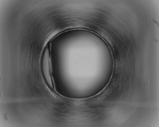 X0000097510789200803071823