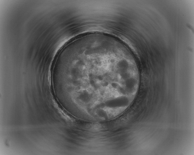 X0000097510791200803071823