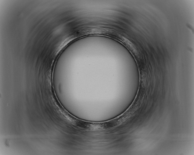 X0000097510794200803071823