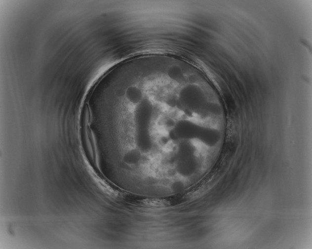 X0000097510795200803071823