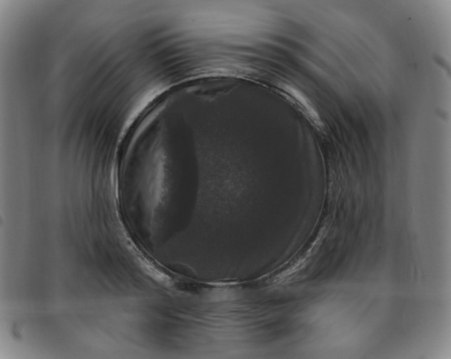 X0000097510796200803071823