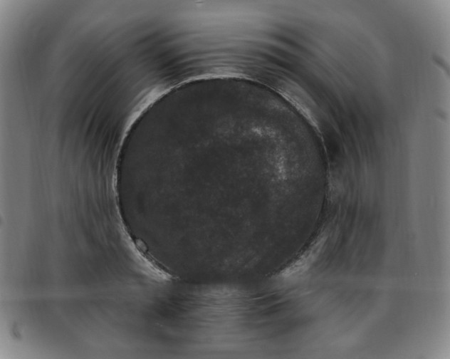 X0000097510797200803071823