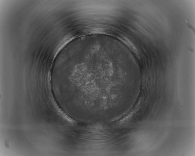 X0000097510798200803071823