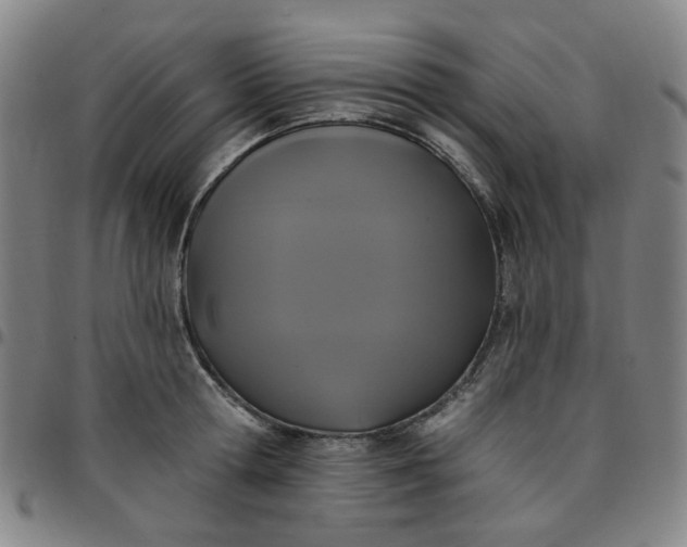 X0000097510802200803071823