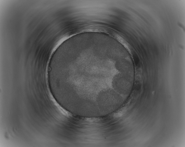 X0000097510803200803071823