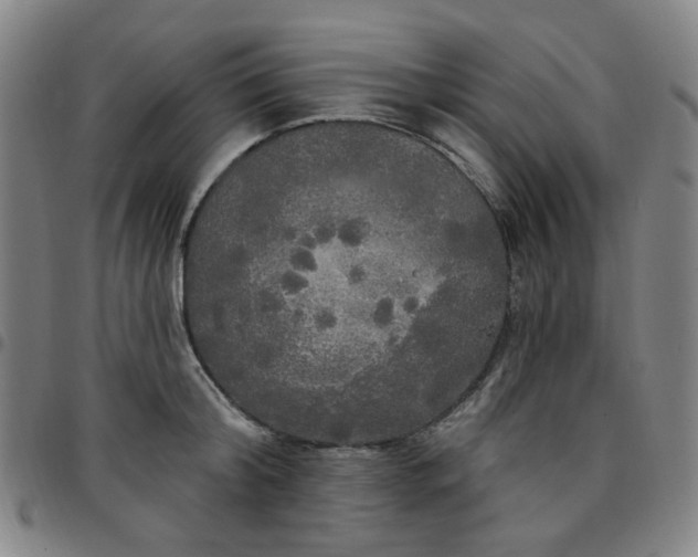 X0000097510804200803071823