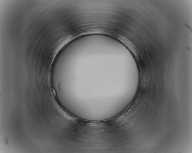 X0000097510805200803071823