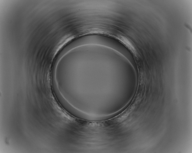 X0000097510806200803071823