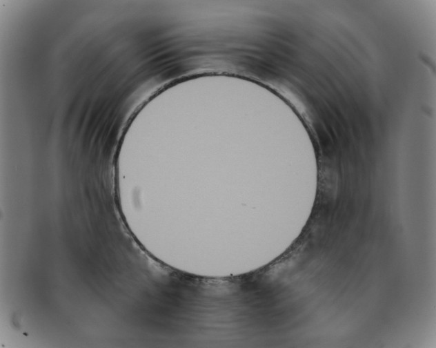 X0000097510807200803071823