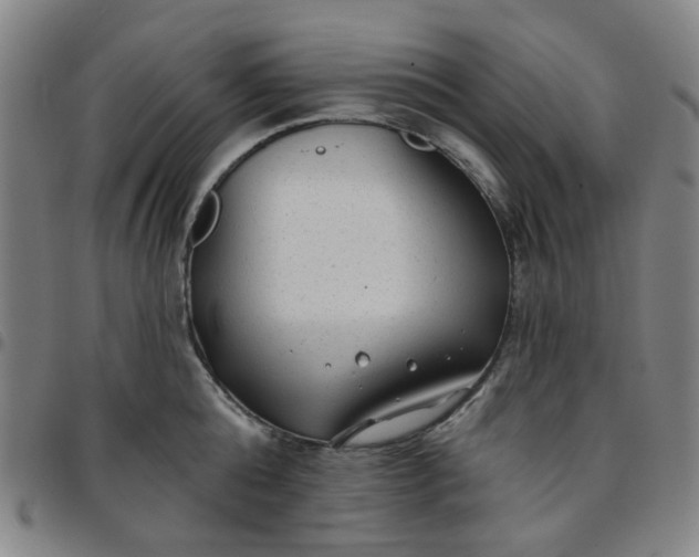 X0000097510808200803071823