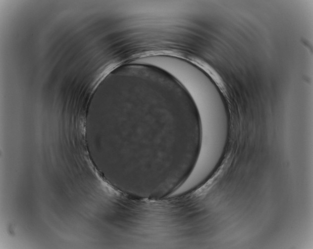 X0000097510809200803071823