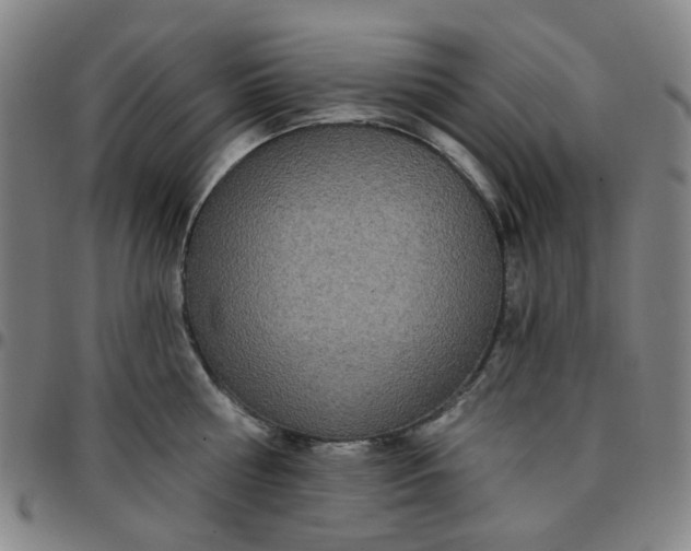 X0000097510810200803071823