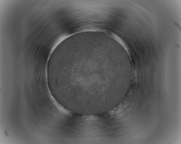 X0000097510811200803071823