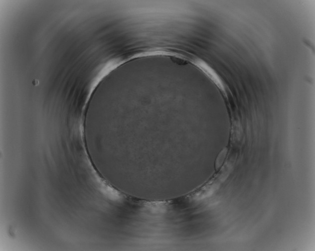 X0000097510813200803071823