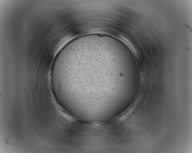 X0000097510814200803071823