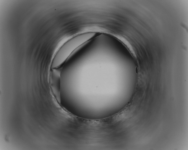 X0000097510815200803071823