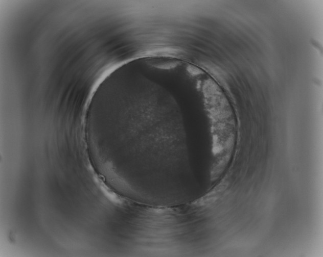 X0000097510816200803071823