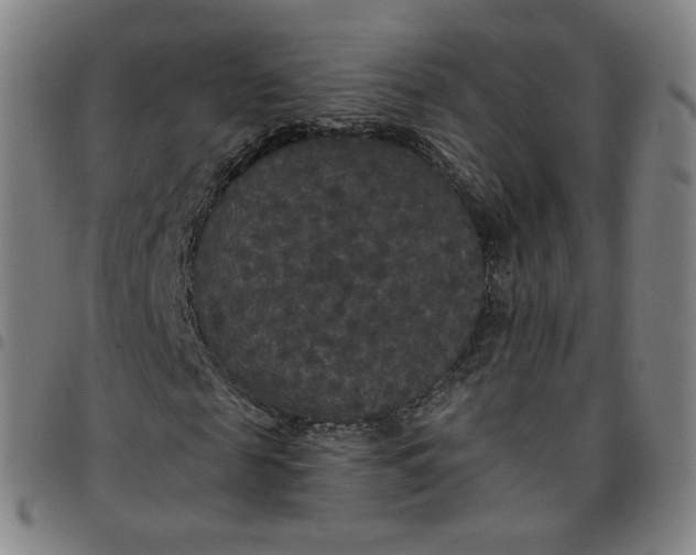 X0000097510817200803071822