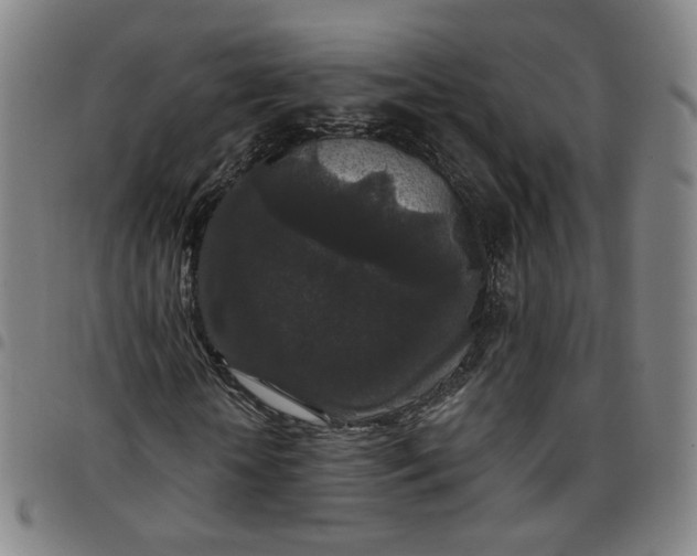 X0000097510818200803071822