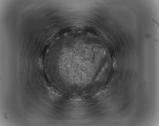 X0000097510819200803071822