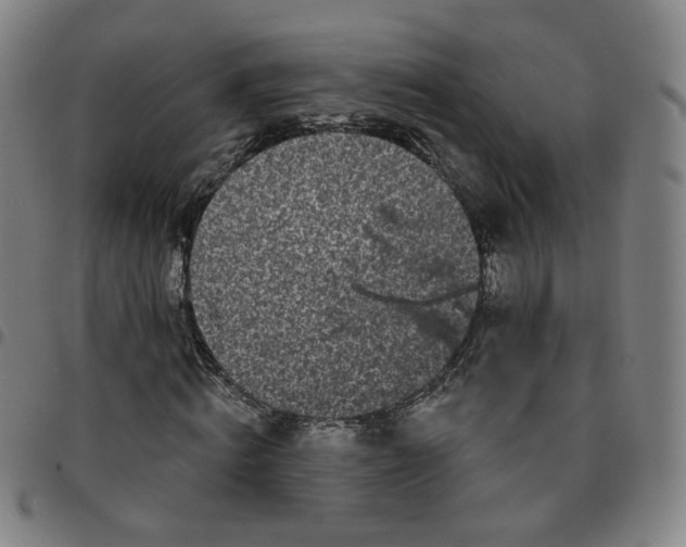 X0000097510820200803071822