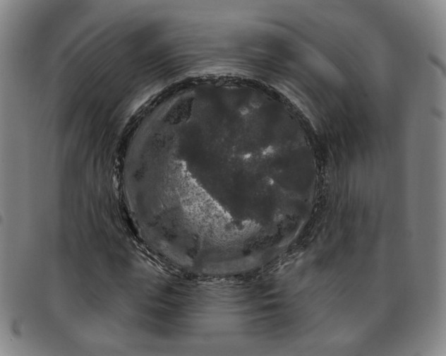 X0000097510823200803071822