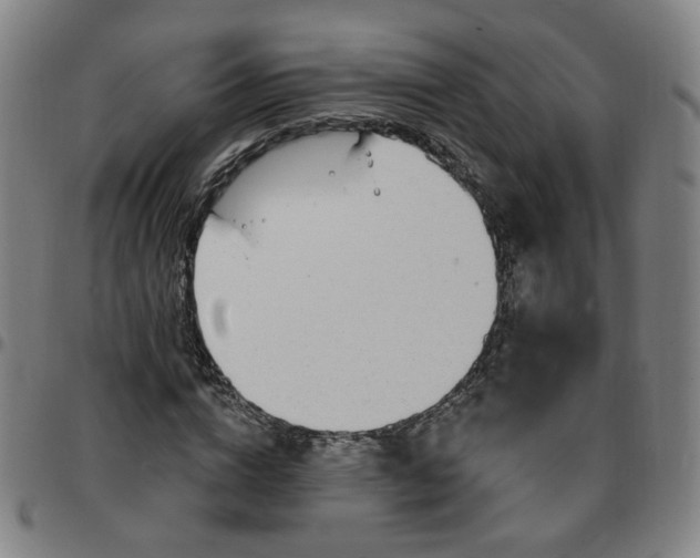 X0000097510824200803071822