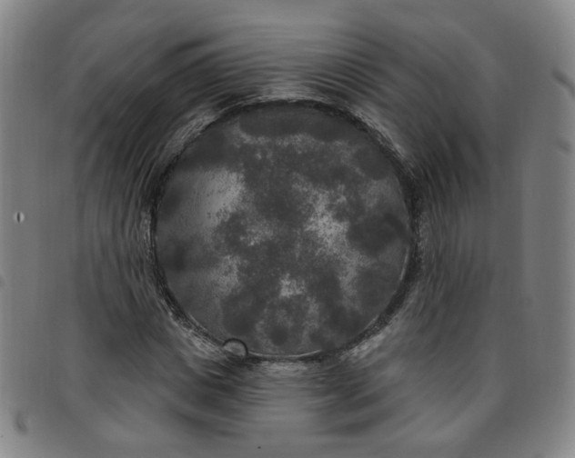 X0000097510825200803071822