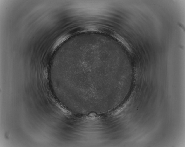 X0000097510826200803071822