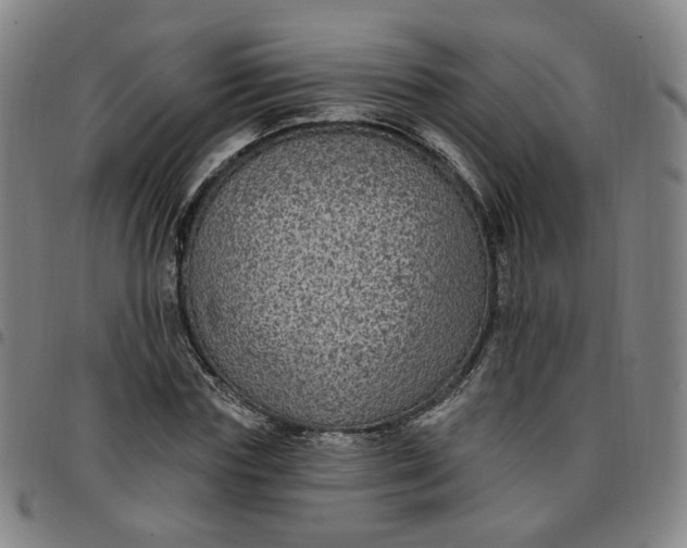 X0000097510827200803071822