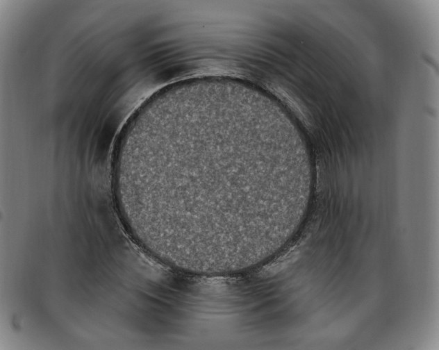 X0000097510828200803071822