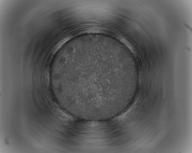 X0000097510829200803071822