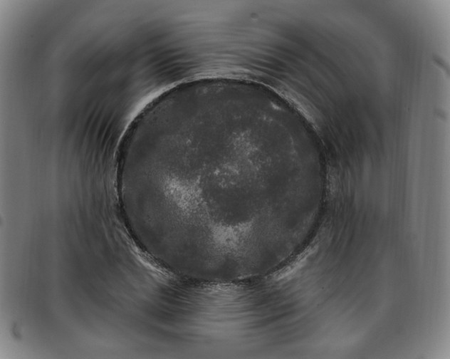 X0000097510830200803071822