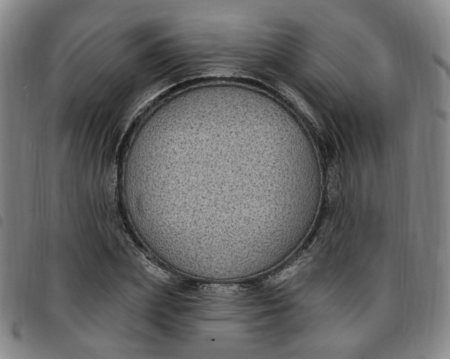 X0000097510831200803071822