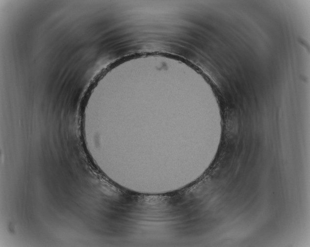 X0000097510832200803071822