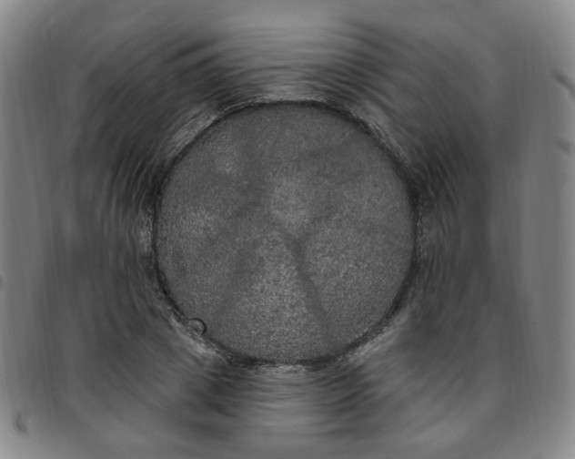 X0000097510833200803071822