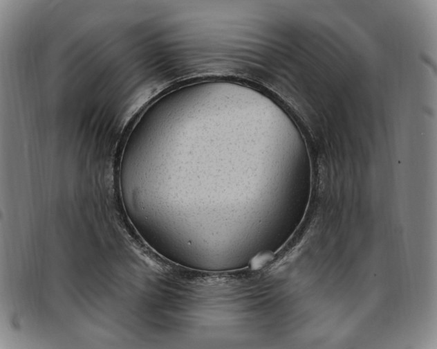 X0000097510834200803071822