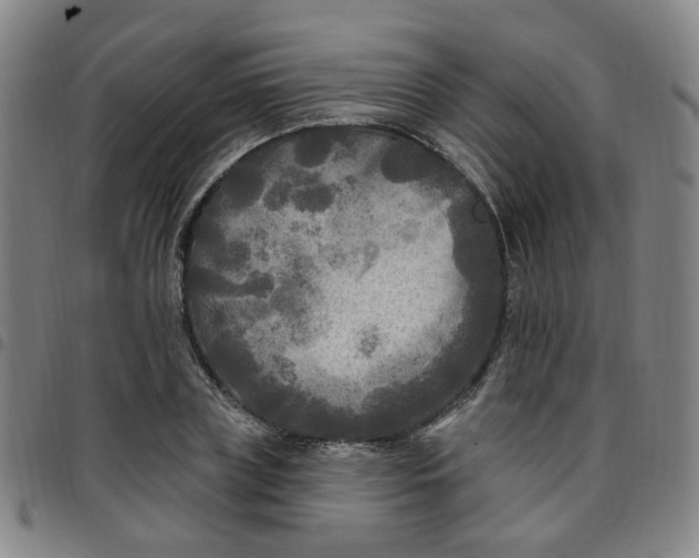 X0000097510835200803071822