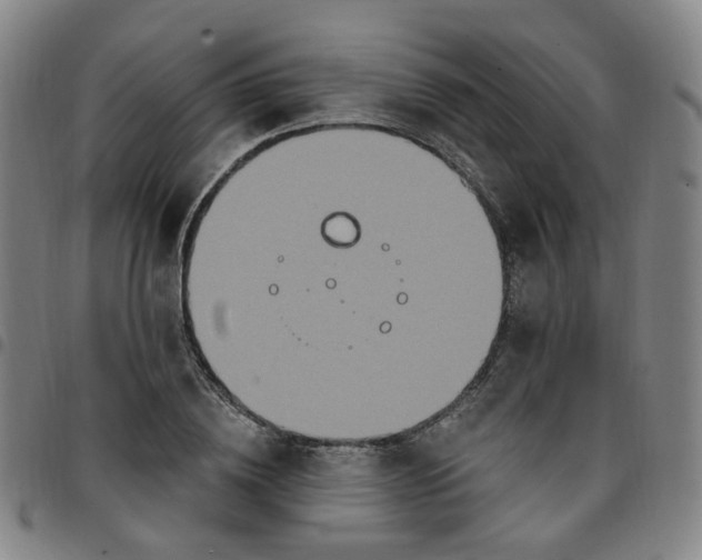 X0000097510836200803071822