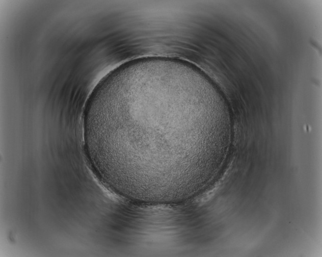 X0000097510838200803071822